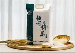 关于集结日体能课后，里昂状态回暖备战意甲，球迷炸锅，数据趋势出现新变化的信息